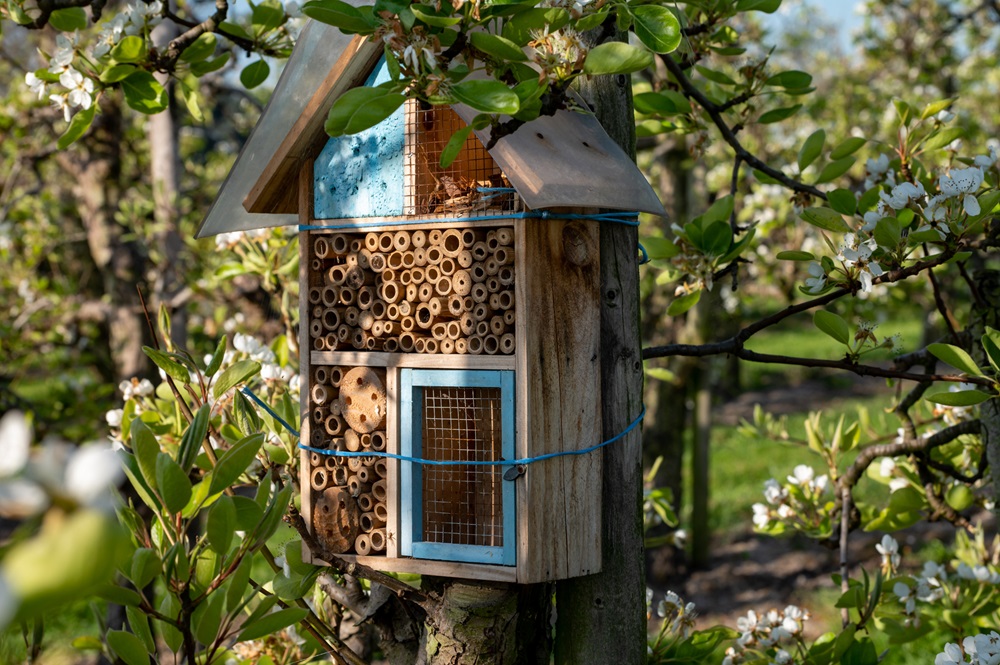 Wooden bug hotel attached to a blossoming tree